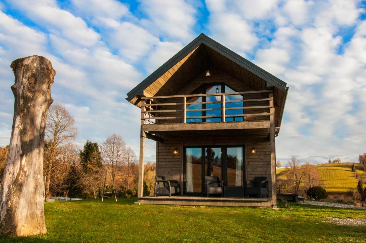 Z Bieszcza Rodem Villa Ustrzyki Dolne Ngoại thất bức ảnh